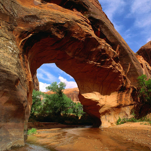 Hd-142491-ascw142491