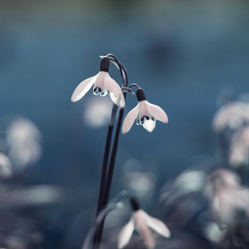 Hd-182341-ascw182341