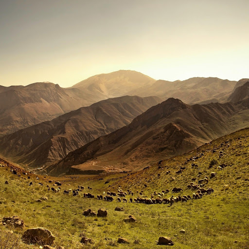 Hd-163907-ascw163907