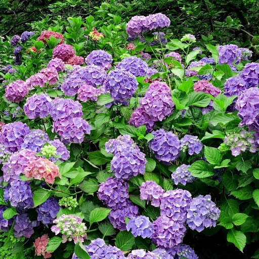 Hd-147142-ascw147142