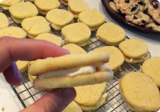 Chocolate Icebox Cookies America S Test Kitchen Chocolate Icebox Cookies America S Test Kitchen
