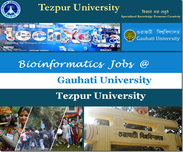 bioinfo bioinfo