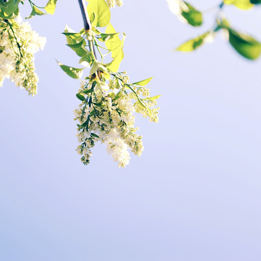 Hd-163874-ascw163874