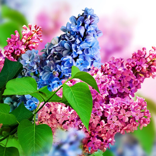 Hd-147552-ascw147552