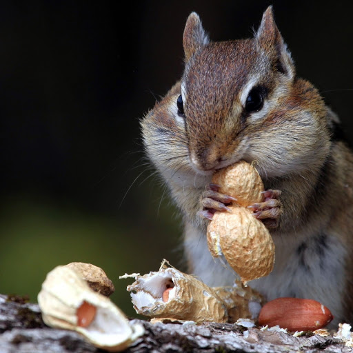 Hd-147817-ascw147817