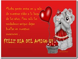 dia del amigo 23 (7)