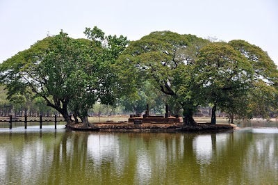 DSC_0773.JPG