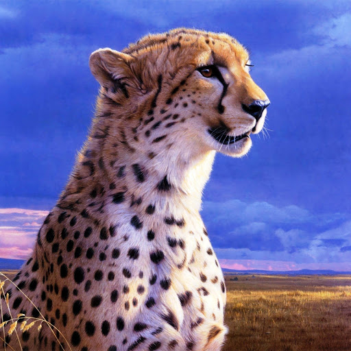 Hd-142635-ascw142635