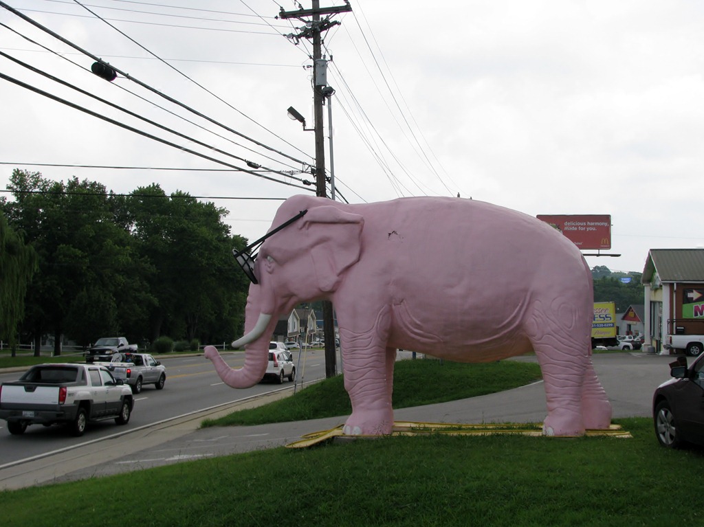 [9965%2520Tennessee%252C%2520Cookeville%2520-%2520Pink%2520Elephant%2520with%2520giant%2520sunglasses%255B3%255D.jpg]