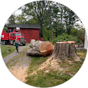 Gray squirrel tree service profile picture