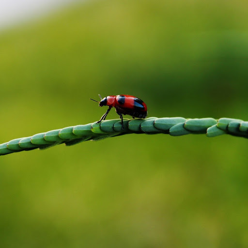 Hd-149372-ascw149372