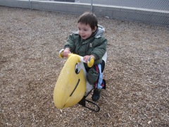 IMG_0432 IMG_0432