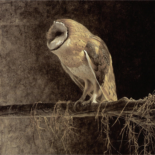 Hd-174055-ascw174055