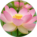 María Luisa Véliz Arribasplata