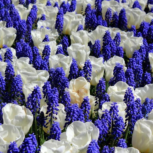 Hd-147677-ascw147677