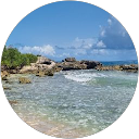 Image Google de Emilie Proisy