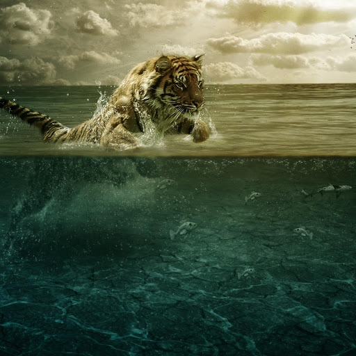 Hd-134695-ascw134695