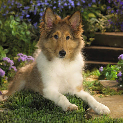 Hd-172793-ascw172793