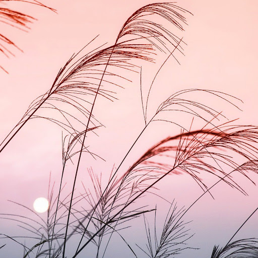 Hd-152439-ascw152439