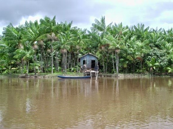 Casa sulla riva - Igarapé-Miri, Parà, foto di: Edio Nascimento