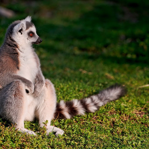 Hd-142911-ascw142911