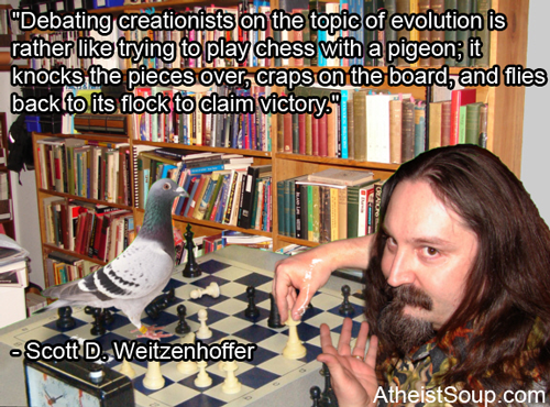 playingpigeonchess.png