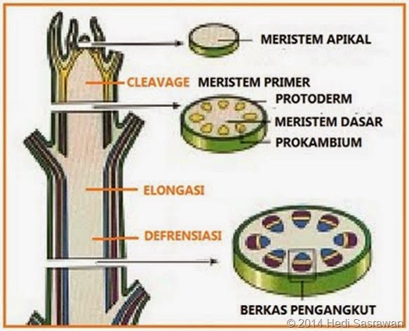 Hedi Sasrawan | Artikel Motivasi, Motivasi Belajar, Tips Blog dan Cinta