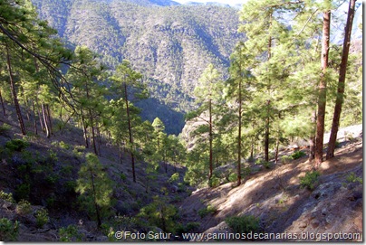 4707 Presa del Vaquero 4707 Presa del Vaquero