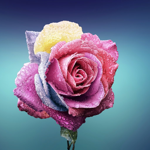 Hd-147113-ascw147113