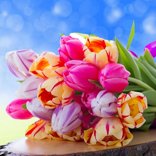 Hd-167521-ascw167521