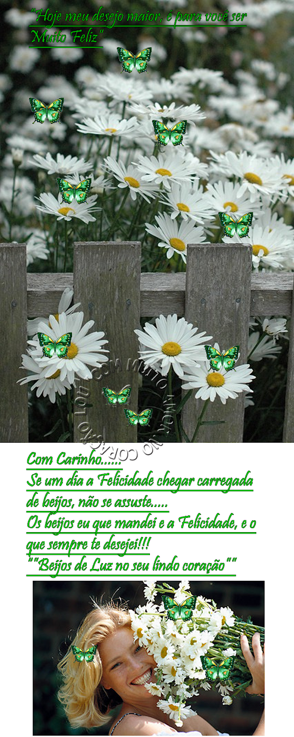 felicidadecarregadadebeijos.png
