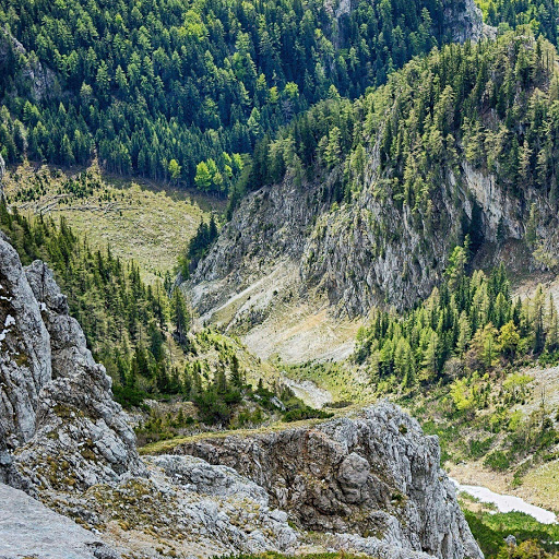 Hd-180730-ascw180730