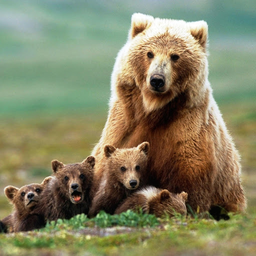 Hd-163222-ascw163222