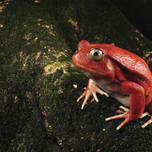 Hd-152849-ascw152849