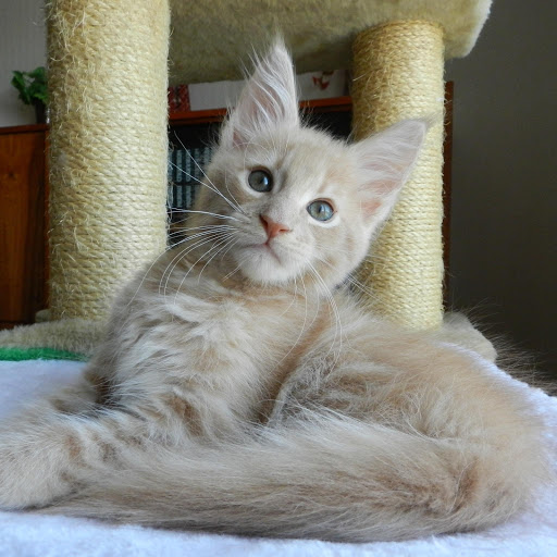 Hd-181593-ascw181593