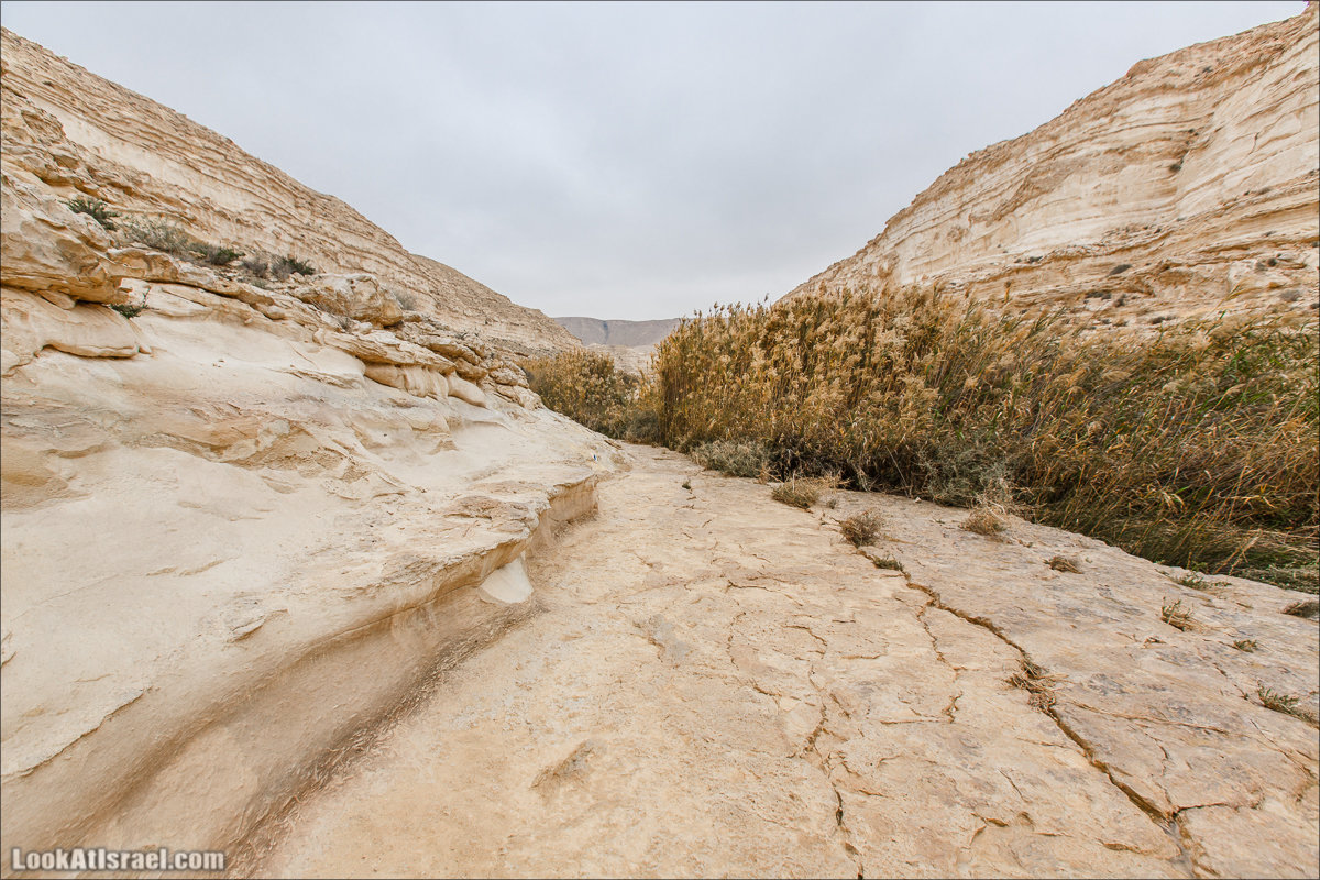 Ручей Акев и источник Эйн Акев в пустыне Негев. LookAtIsrael.com - Фото путешествия по Израилю