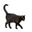 [black_cat-icon3.jpg]