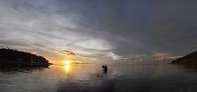DSC_04231.jpg