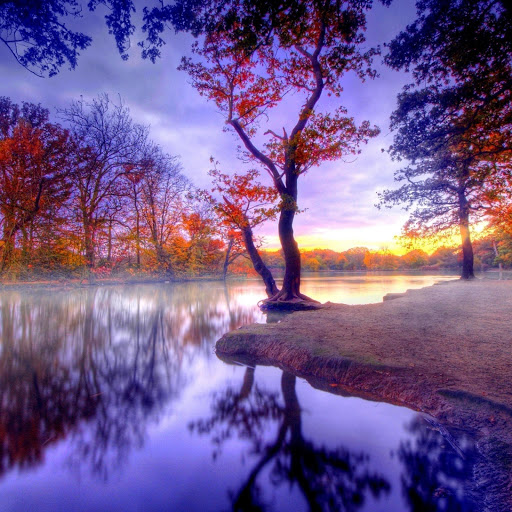 Hd-174558-ascw174558