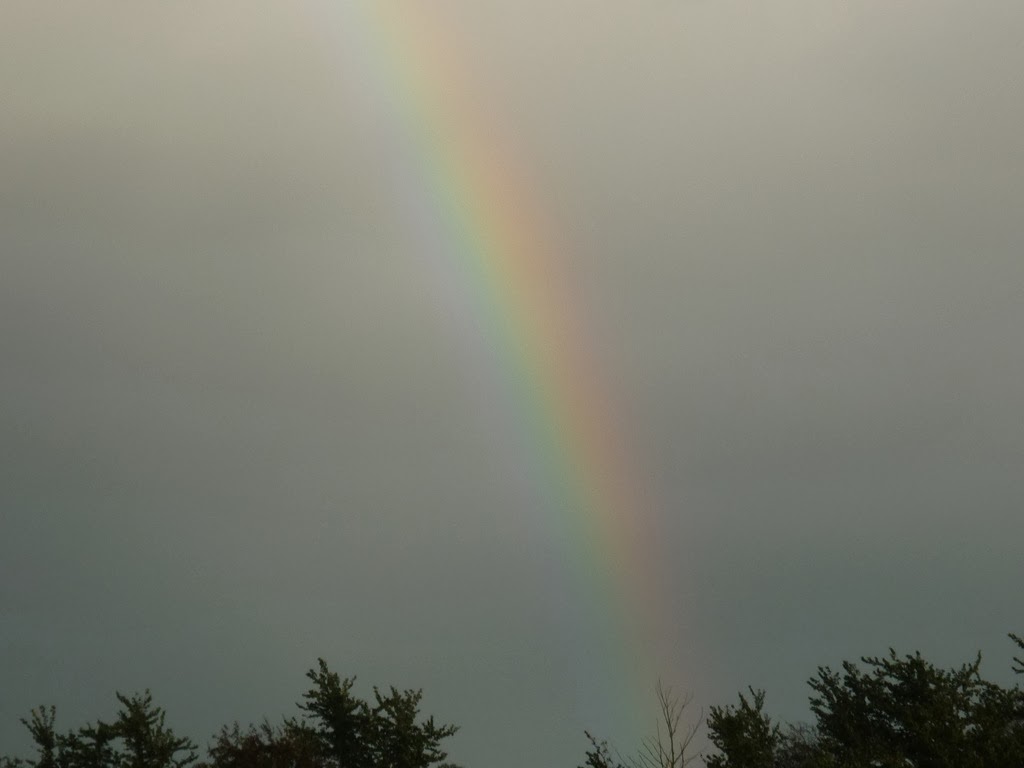 [rainbow-near-semington4.jpg]