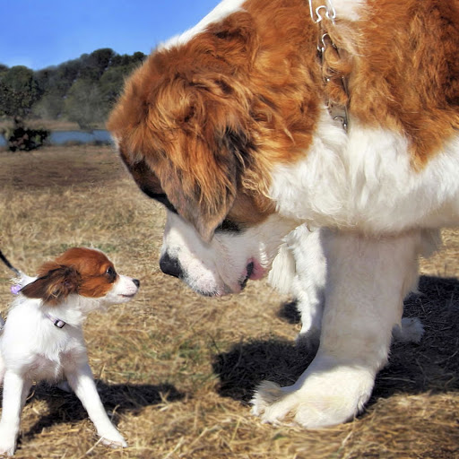 Hd-141806-ascw141806