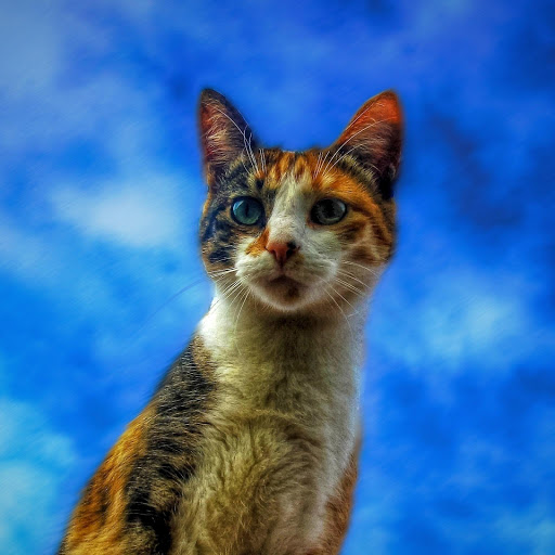 Hd-177218-ascw177218