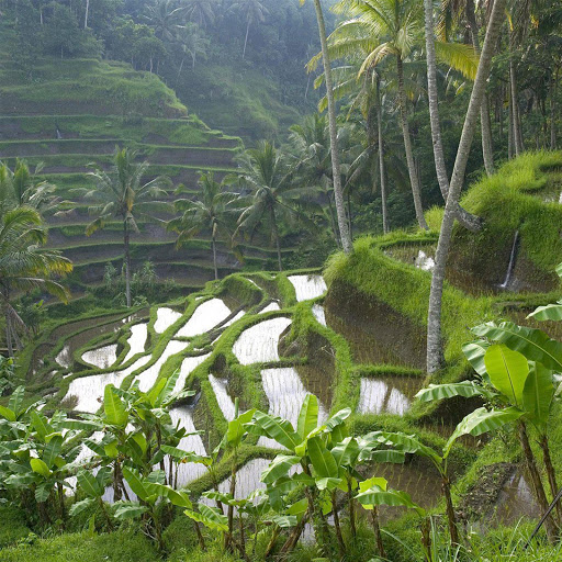 Hd-179295-ascw179295