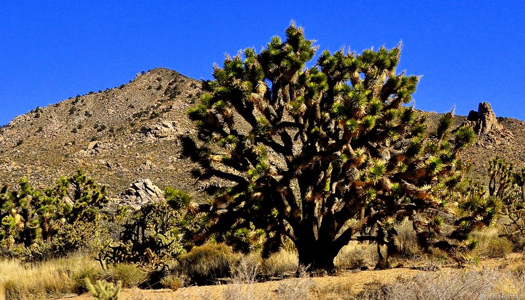 [DSC_0100%255B6%255D.jpg]