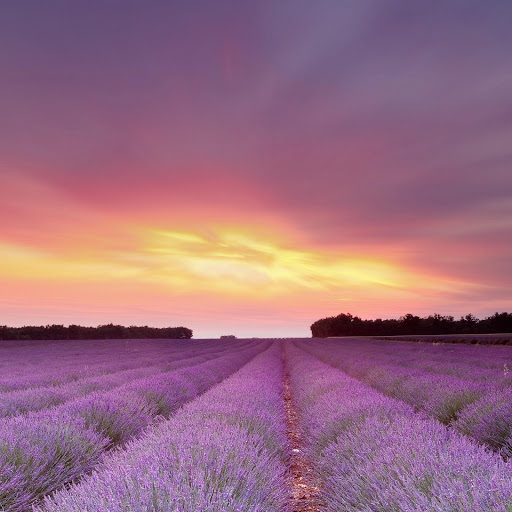 Hd-163733-ascw163733