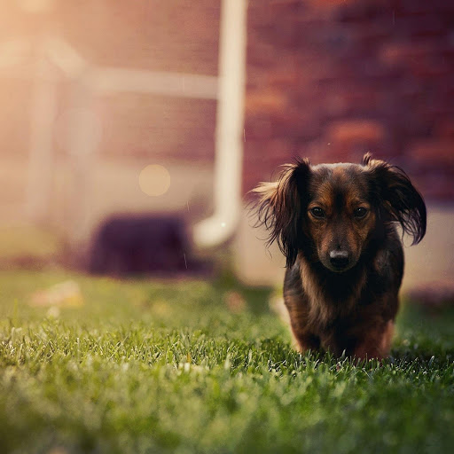 Hd-175740-ascw175740