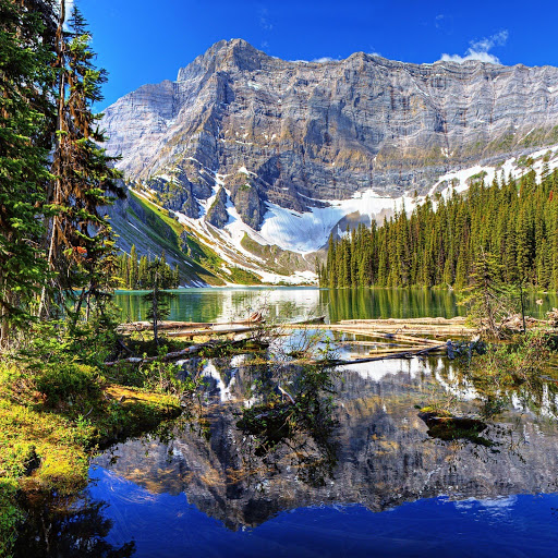 Hd-150444-ascw150444