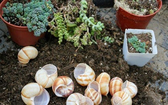 [clip_image0044.jpg]