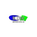 BlueSMS Mobile Marketing logo