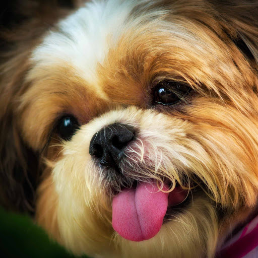 Hd-131378-ascw131378